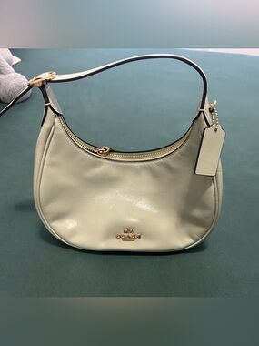 Coach Leather Shoulder Bag in Sage